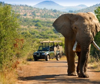 Luxury South Africa Safari 